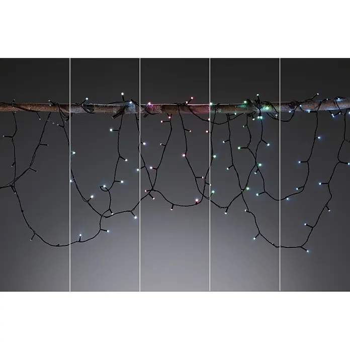 Paulmann Plug & Shine LED-Lichterkette Yuna - Außen, RGB, Länge: 7,4 m - Mehrfarbige LED-Lichterkette über einem Ast drapiert.