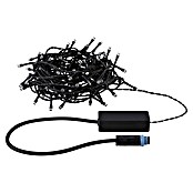 Paulmann Plug & Shine LED-Lichterkette Yuna (Außen, Warmweiß, Länge: 12,4 m) | BAUHAUS