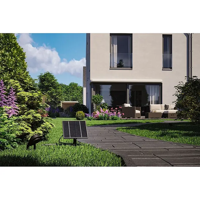 Paulmann Plug & Shine Solarmodul - L x B x H: 5,6 x 18,4 x 41,8 cm - Schwarzer Solar-Gartenstrahler mit separatem Solarpanel, beleuchtet einen üppigen Gartenweg.
