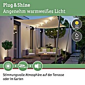 Paulmann Plug & Shine LED-Lichterkette Naima (Außen, Warmweiß, Anzahl Leuchtmittel: 6 Stk., Länge: 5,8 m, Netzbetrieben) | BAUHAUS