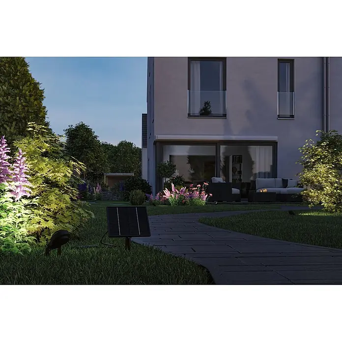 Paulmann Plug & Shine Solarmodul - L x B x H: 5,6 x 18,4 x 41,8 cm - Schwarzer Solar-Gartenstrahler beleuchtet Pflanzen im Garten bei Dämmerung, betrieben von einem Solarpanel.