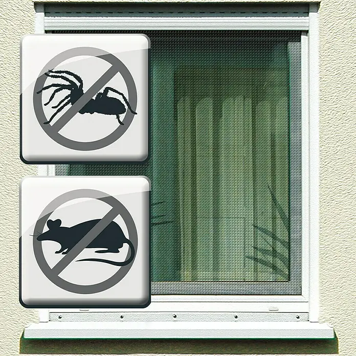 Schellenberg Malla metálica - An x Al: 100 x 250 cm, Aluminio - Primer plano de una ventana con mosquitera, diseñada para evitar la entrada de arañas y ratones, representados por símbolos.