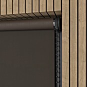 Verduisterend rolgordijn (b x h: 220 x 190 cm, Truffel, 100 % Polyester) | BAUHAUS