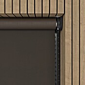 Verduisterend rolgordijn (b x h: 220 x 190 cm, Truffel, 100 % Polyester) | BAUHAUS