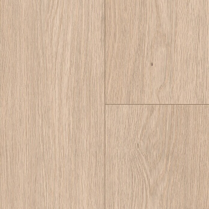 Egger Laminat NatureSense Promo 2132 (Baronia Eiche hell, Landhausdiele, 1 292 x 193 x 8 mm) | BAUHAUS