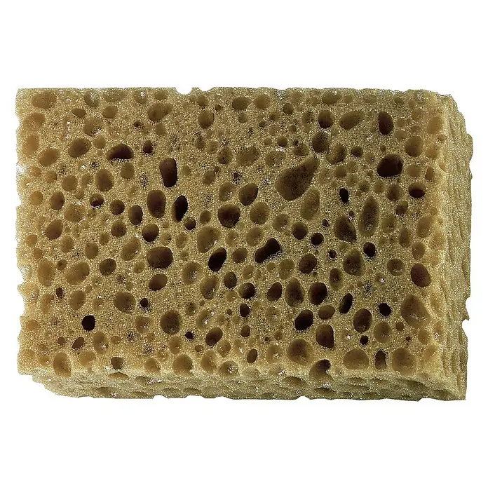 Esponja abrasiva especial sintética - L x An x Al: 5 x 10 x 1,5 cm - Primer plano de una esponja de baño rectangular beige con muchos agujeros.