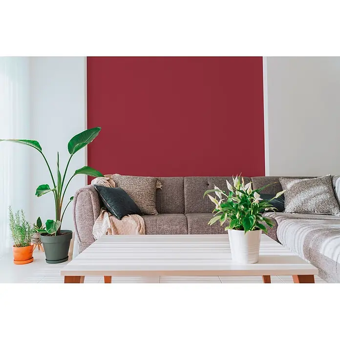 A.S. Création Pintwalls 3 Vliestapete Uni - Rot, Uni, 10,05 x 0,53 m - Ein stilvolles Wohnzimmer mit einer kräftigen roten Akzentwand, einem bequemen grauen Sofa und Zierpflanzen.