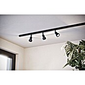Eglo Easy Track LED-Spot Ring (Schwarz, Ø x H: 55 x 140 mm) | BAUHAUS