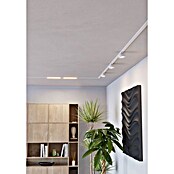 Eglo Track Plus LED-Leuchte Flat Light (2 700 K, Weiß) | BAUHAUS