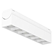 Eglo Track Plus LED-Modul 6 Lens Spot (Weiß, 2 700 K) | BAUHAUS