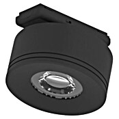 Eglo Track Plus LED-Spot Wide (Schwarz, Ø x H: 85 x 40 mm, 2 700 K) | BAUHAUS