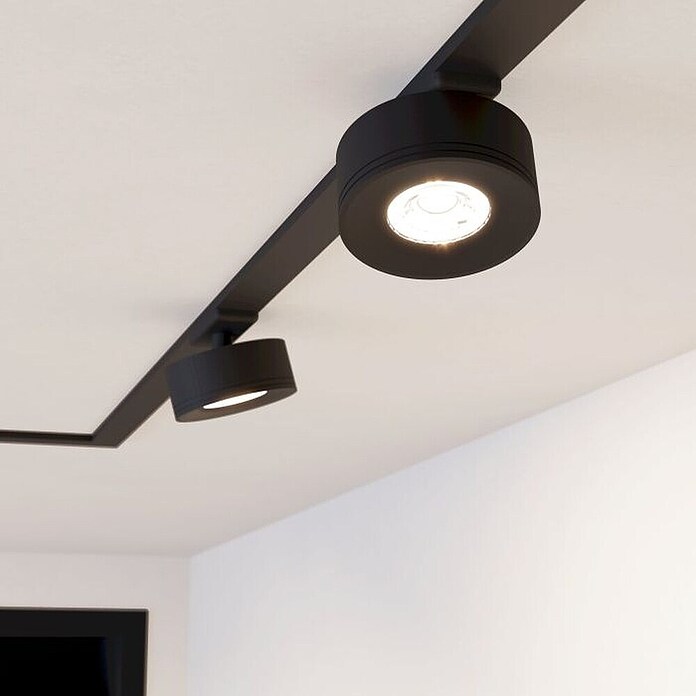 Eglo Track Plus LED-Spot Wide (Schwarz, Ø x H: 85 x 40 mm, 2 700 K) | BAUHAUS