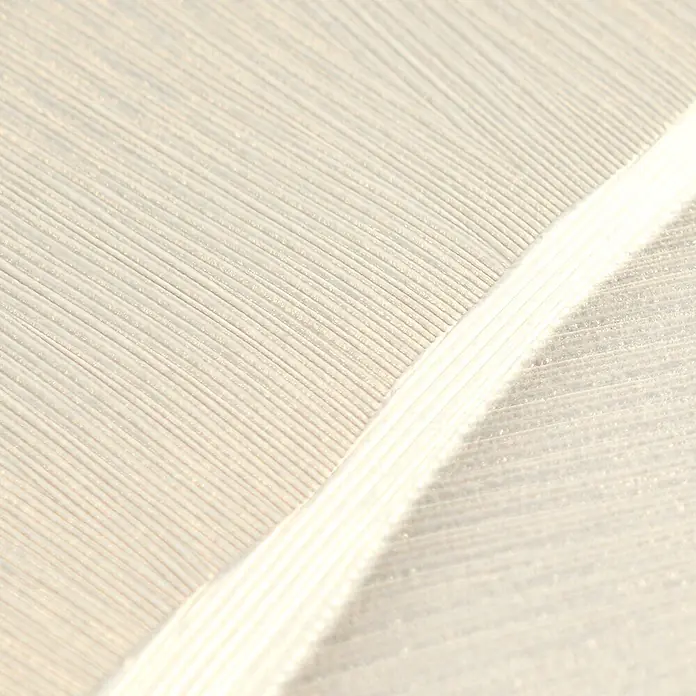 A.S. Création Metropolitan Stories Vibes & Styles Vliestapete Palme - Weiß-Beige, Floral, 10,05 x 0,53 m - Nahaufnahme einer zarten weißen Feder mit feiner Textur.