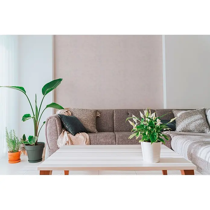 A.S. Création Nordic Feeling Vliestapete Uni - Grau, Uni, 10,05 x 0,53 m - Ein gemütliches Wohnzimmer mit einem grauen Stoffsofa mit Kissen und einem weißen Couchtisch mit einer Pflanze.