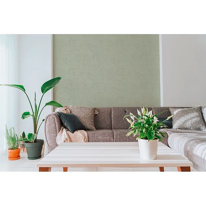 A.S. Création Nordic Feeling Vliestapete Uni - Grün, Uni, 10,05 x 0,53 m - Moderner Wohnzimmerblick mit grauem Stoffsofa, weißem Couchtisch und üppigen Grünpflanzen in dekorativen Töpfen.