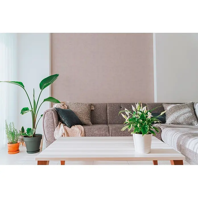 A.S. Création Nordic Feeling Vliestapete Uni - Grau-Lila, Uni, 10,05 x 0,53 m - Ein bequemes graues Stoffsofa mit Kissen und Decken in einem modernen Wohnzimmer, umgeben von Zimmerpflanzen und einem weißen Couchtisch.