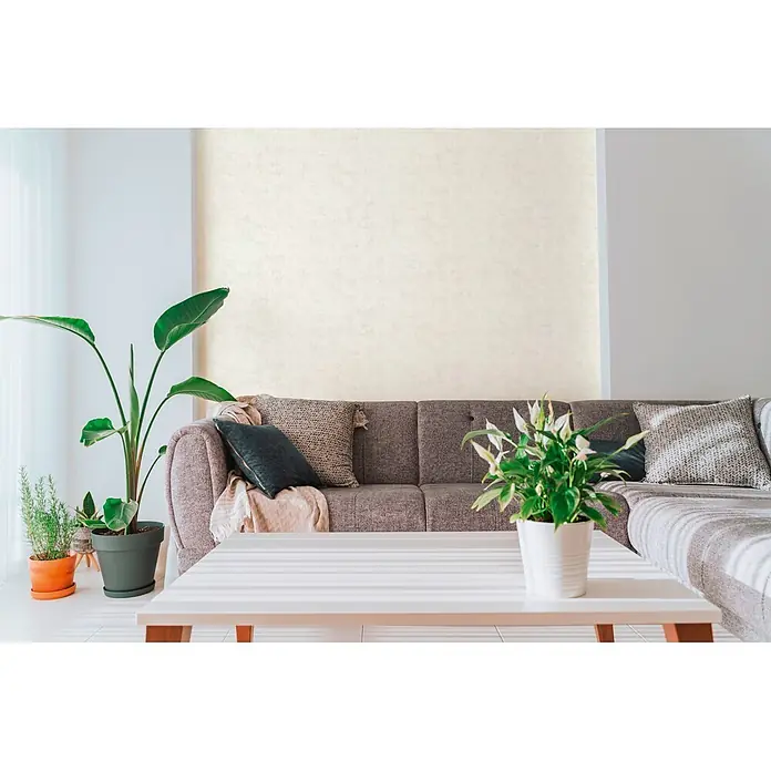 A.S. Création Nordic Feeling Vliestapete Uni - Creme-Grau, Uni, 10,05 x 0,53 m - Helle, texturierte beigefarbene Tapete an einer Wohnzimmerwand, als neutraler Hintergrund für ein gemütliches Sofa und Pflanzen.