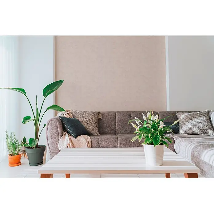 A.S. Création Nordic Feeling Vliestapete Uni I - Creme-Rosa, Uni, 10,05 x 0,53 m - Graues Stoffsofa mit Zierkissen und einer Decke in einem hellen Wohnzimmer, umgeben von Pflanzen und einem Couchtisch.