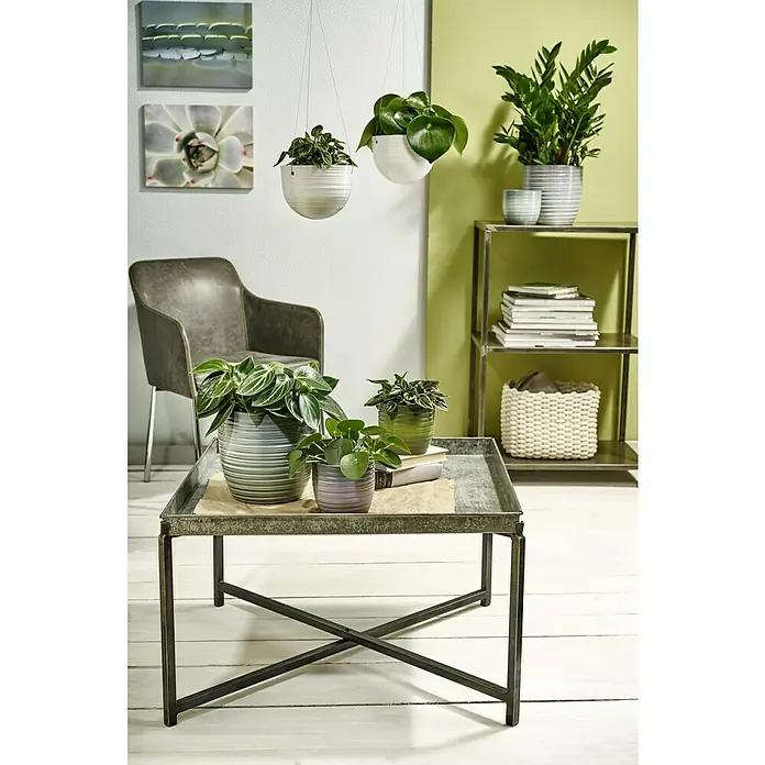 Soendgen Keramik Übertopf rund BergamoAußenmaß (Ø x H): 13 x 12 cm, Blattgrün, Keramik, Glänzend - Zimmer mit Pflanzentisch und hängenden Pflanzen. Die Pflanzen sind in modernen Töpfen aus verschiedenen Materialien untergebracht.