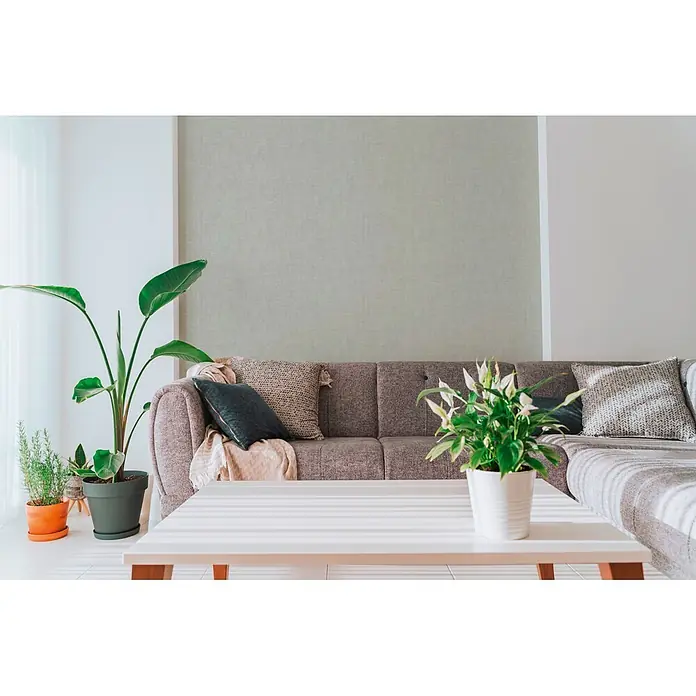 A.S. Création Cuba 2 Vliestapete Uni - Grün-Grau, Uni, 10,05 x 0,53 m - Ein modernes Wohnzimmer mit einem strukturierten Sofa, einem weißen Couchtisch und verschiedenen Grünpflanzen, die eine ruhige Atmosphäre schaffen.