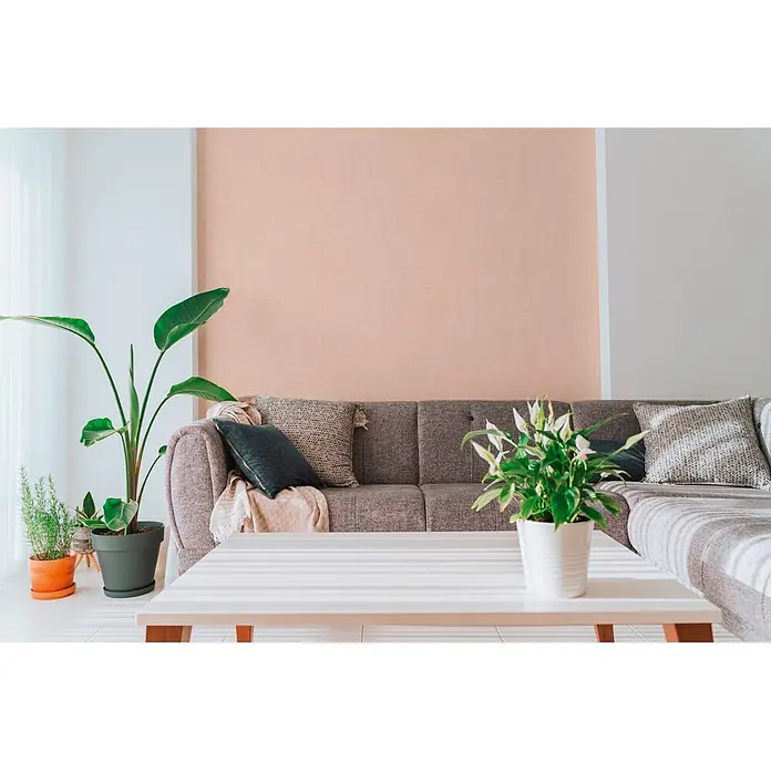 A.S. Création Cuba 2 Vliestapete Uni - Rosa, Uni, 10,05 x 0,53 m - Ein gemütliches Wohnzimmer mit grauem Sofa, Kissen und Pflanzen vor einer pfirsichfarbenen und weißen Wand.