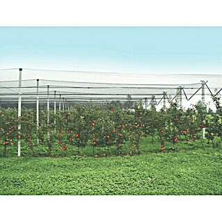 Windhager Mreža za zaščito pred točo (Do x Š: 5 x 2 m)