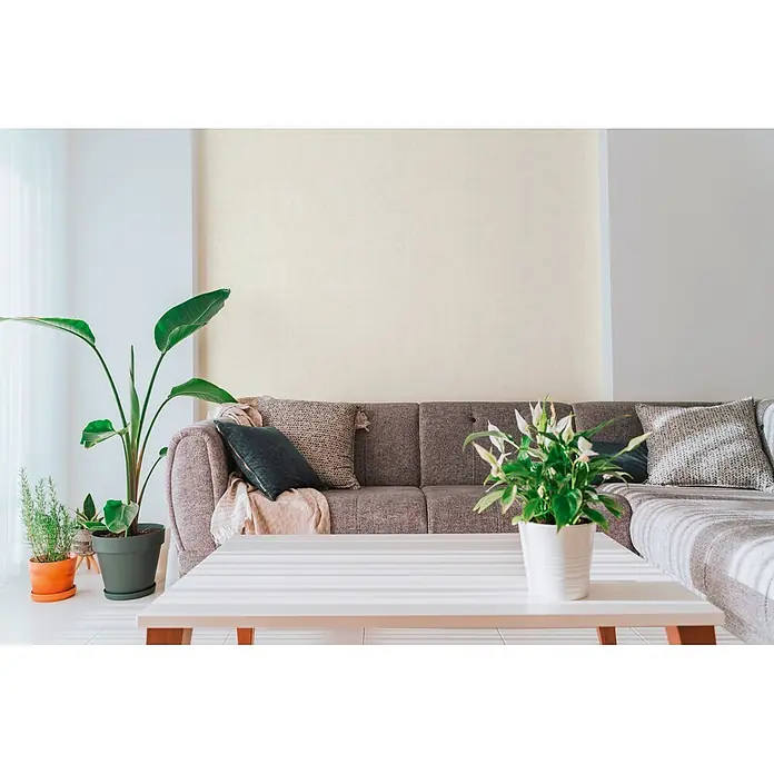 A.S. Création Cuba 2 Vliestapete Uni - Grau-Beige, Uni, 10,05 x 0,53 m - Strukturierte hellbeige Wandverkleidung an einer Wohnzimmerwand hinter einem Sofa.