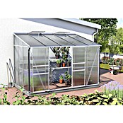 Vitavia Gewächshaus (2,01 x 3,24 x 2,21 m, Glasstärke: 4 mm, Aluminium)