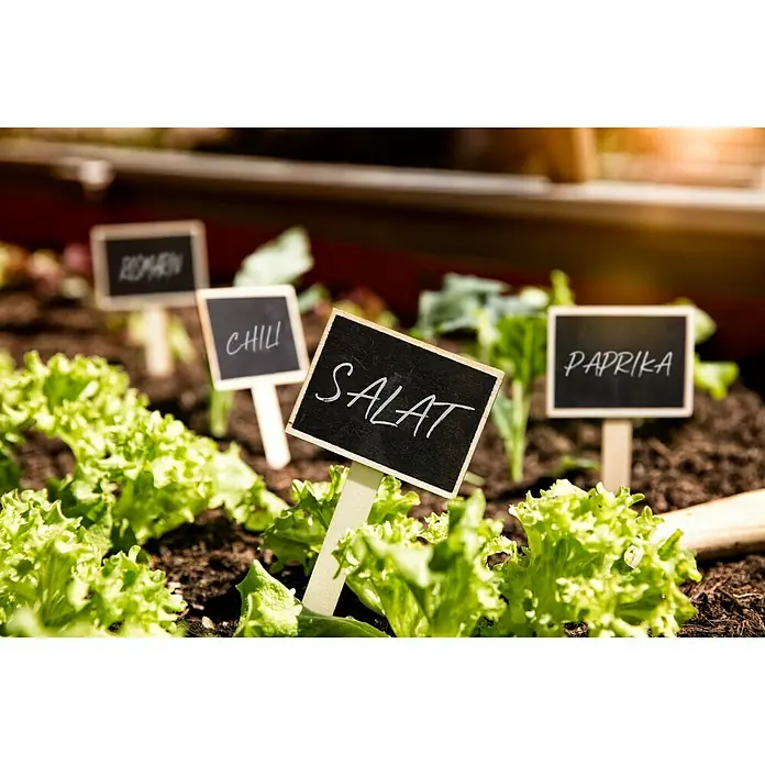 Gardol Stecketiketten Tafel & Kreide - 10 Stk. - Salat, Paprika, Chili und Rosmarin wachsen in einem sonnigen Gartenbeet, beschriftet mit kleinen Tafeln.