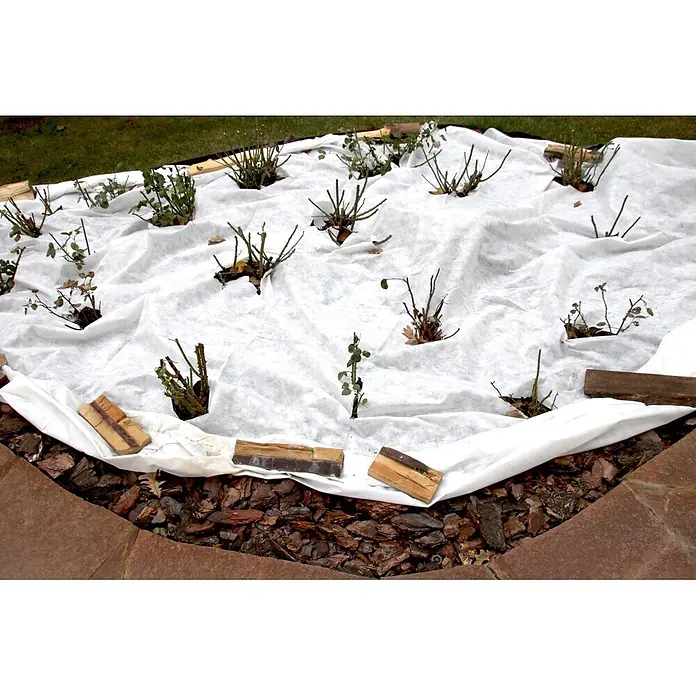 Aquagart Bodenschutzvlies 650m² 150g/m² 2m Gartenvlies Unkrautvlies -  - Weißes Gartenvlies schützt Rosensträucher im Beet vor Frost.