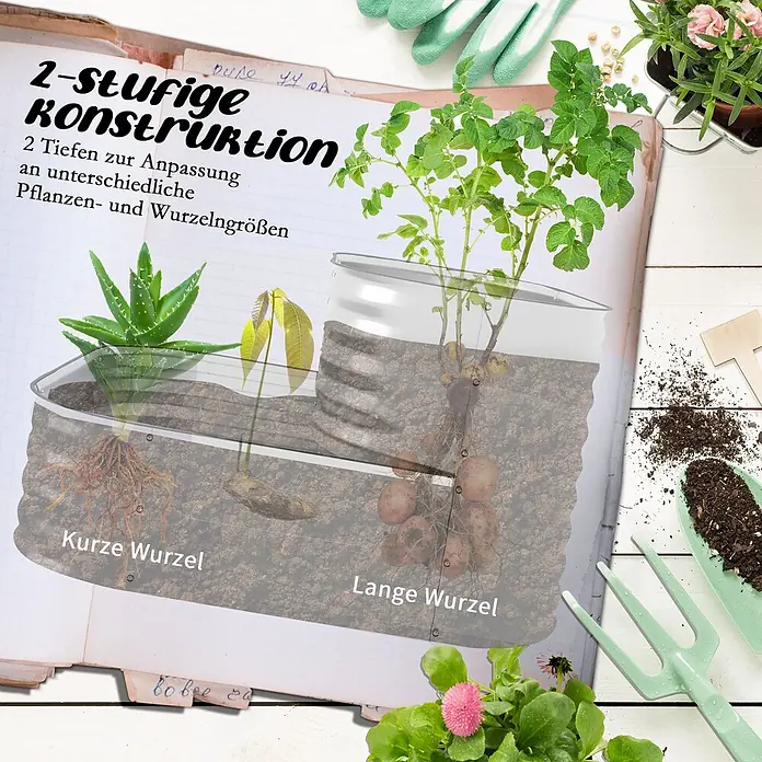 Outsunny Hochbeet - Metall, Silber - Zweistufiger transparenter Pflanzbehälter zur Beobachtung von Pflanzen mit unterschiedlichen Wurzellängen, mit Aloe und Kartoffelpflanze.