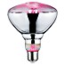 Paulmann Pflanzenlampe Grow Green 