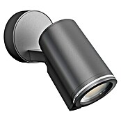 Steinel LED-Außenstrahler Spot One (7 W, Anthrazit, L x B x H: 9,8 x 9,7 x 17,5 cm, IP44, Ohne Sensor)