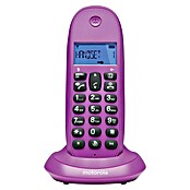 Motorola Teléfono inalámbrico C1001