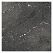 Granitogresne ploščice Pulpis  (60 x 60 cm, Črna, Sijaj) | 4240 - Natursteinoptik | EAFA - Bodenfliesen | EAF - Fliesen | EA - Fliesen | E - Fliesen | BAUHAUS