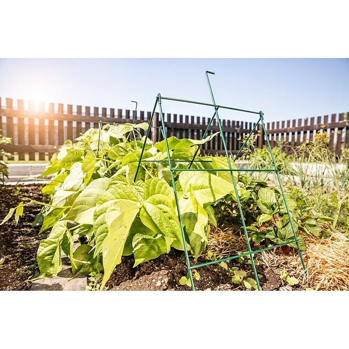 Windhager Rankhilfe klappbar - B x H: 30 x 100 cm, Grün - Ein grünes Pflanzenstützgitter im Garten, das Pflanzen hilft, aufrecht zu wachsen und Halt zu finden. Ideal für Kletterpflanzen und Gemüse.