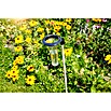 Windhager Regenmesser Memory (L x B x H: 15,8 x 14 x 24,3 cm, Transparent)