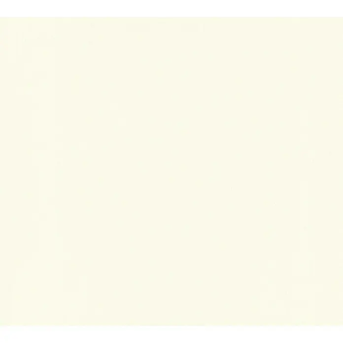 A.S. Création Trendwall Vliestapete I - Creme, Uni, 10,05 x 0,53 m - Helles, cremefarbenes Papier, ideal für subtile Hintergründe und minimalistische Designs. Textur sorgt für eine warme, weiche Atmosphäre.