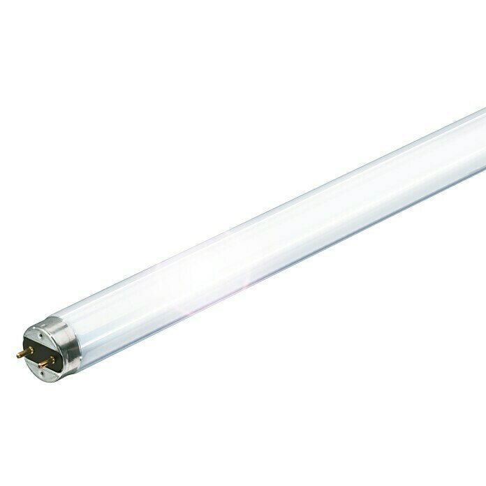Philips Tubo de LED (36 W, Color de luz: Blanco neutro, G13, Largo: 121 cm)
