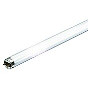 Philips Tubo de LED (36 W, Color de luz: Blanco neutro, G13, Largo: 121 cm)