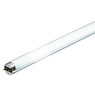 Philips Tubo fluorescente TL-D (Blanco neutro, 36 W, Largo: 121 cm)
