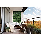 Nortene Vertikalni vrt Jasmin  (Plastika, Do x Š: 100 x 100 cm) | 8471 - Seidenblumen/Kunstpflanzen | IDDQ - Seidenblumen/Kunstpflanzen | IDD - Trendy | ID - Trendy | I - Stadtgarten | BAUHAUS
