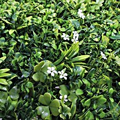 Nortene Vertikalni vrt Jasmin  (Plastika, Do x Š: 100 x 100 cm) | 8471 - Seidenblumen/Kunstpflanzen | IDDQ - Seidenblumen/Kunstpflanzen | IDD - Trendy | ID - Trendy | I - Stadtgarten | BAUHAUS