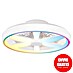 Briloner Ventilador de techo Air 
