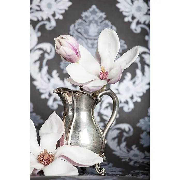 Pflanzen für dich Magnolie 60-80 cm - Magnolia × soulangeana, Aktuelle Wuchshöhe: 60 cm - 80 cm - Polierte silberne Kanne mit rosa-weißen Magnolienblüten, als Dekorationsstück präsentiert.