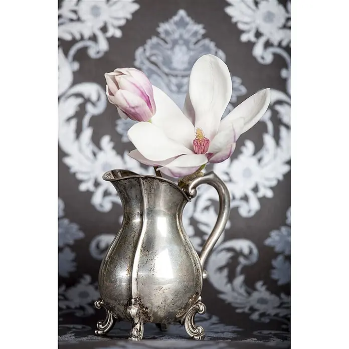 Pflanzen für dich Magnolie 60-80 cm - Magnolia × soulangeana, Aktuelle Wuchshöhe: 60 cm - 80 cm - Verzierter silberner Krug mit zwei Magnolienblüten, eine offen, eine Knospe.