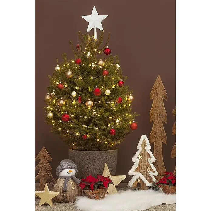 Pflanzen für dich Zuckerhut-Fichte Fichte - Picea abies, Aktuelle Wuchshöhe: 80 cm - 100 cm - Ein kleiner, getopfter Weihnachtsbaum, geschmückt mit Lichtern, roten und goldenen Kugeln und einem weißen Stern, Teil einer festlichen Weihnachtsdekoration.