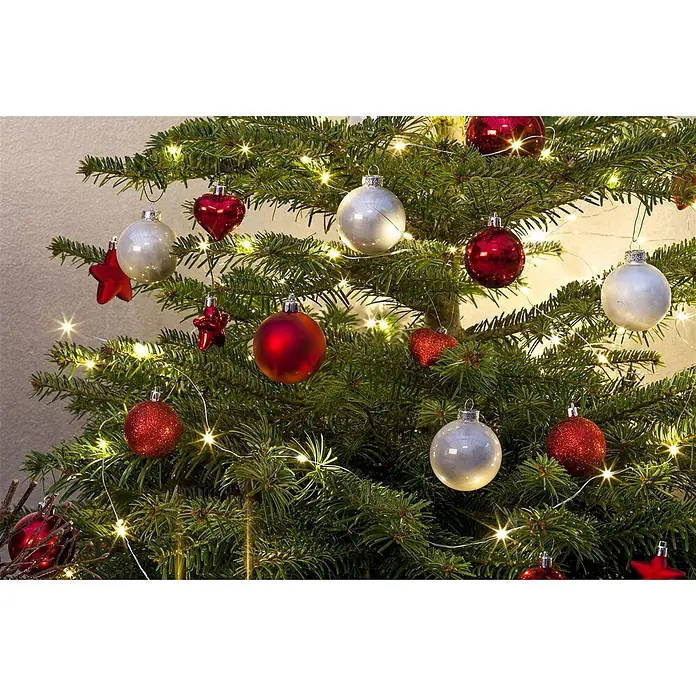 Pflanzen für dich Lebensbaum 60-80 cm - Abies nordmanniana, Aktuelle Wuchshöhe: 60 cm - 80 cm - Geschmückter Weihnachtsbaum mit roten und silbernen Kugeln und warmweißen Lichterketten.