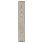 Vinilni pod bor Rigid Florida  (Rustikalen videz, 1.220 x 180 x 3,5 mm) | 5194 - Voll Vinyl / Rigid Aktion | GCDT - VINYLBÖDEN | GCD - Wand Boden Decke Leisten | GC - Wand Boden Decke Leisten | G - Holz/Bauelem | BAUHAUS