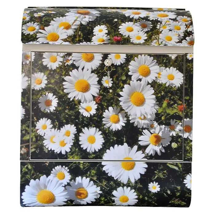 Wandbriefkasten - L x B x H: 12 x 38 x 45 cm, Stahl, Zeitungsfach, Gänseblümchen - Das Bild zeigt einen Briefkasten mit einem Blumenmuster aus Gänseblümchen, der einen fröhlichen und einladenden Eindruck vermittelt.